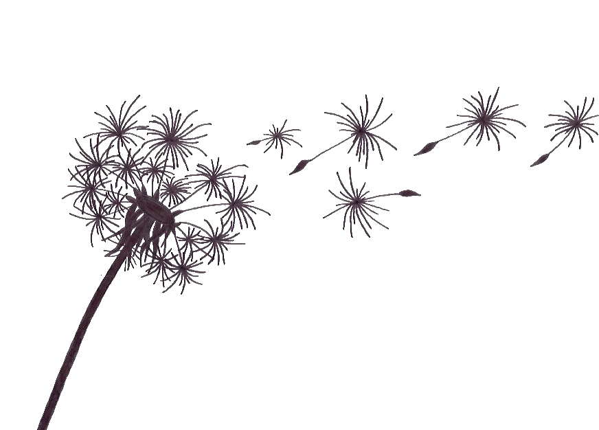 Christine Prince Hypnose